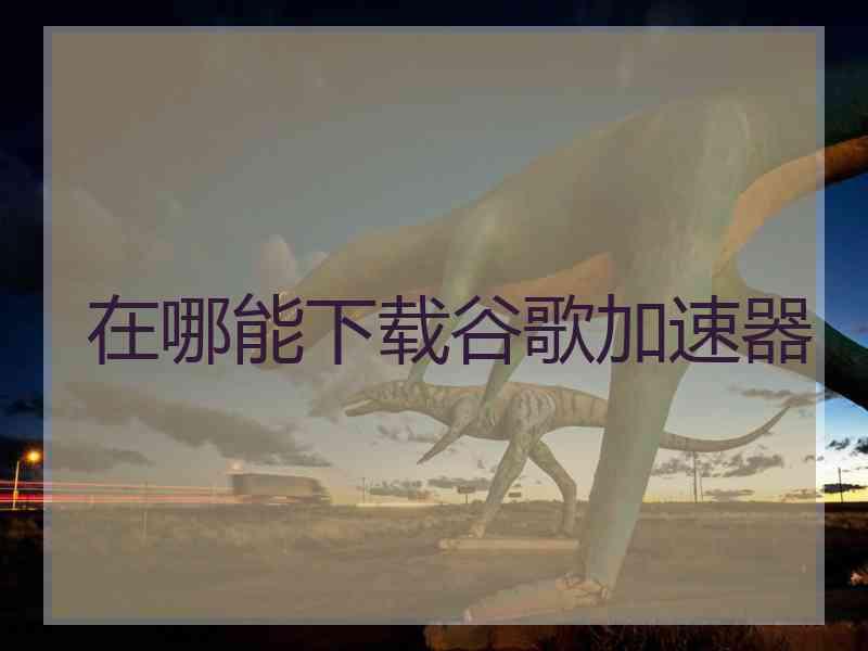 在哪能下载谷歌加速器