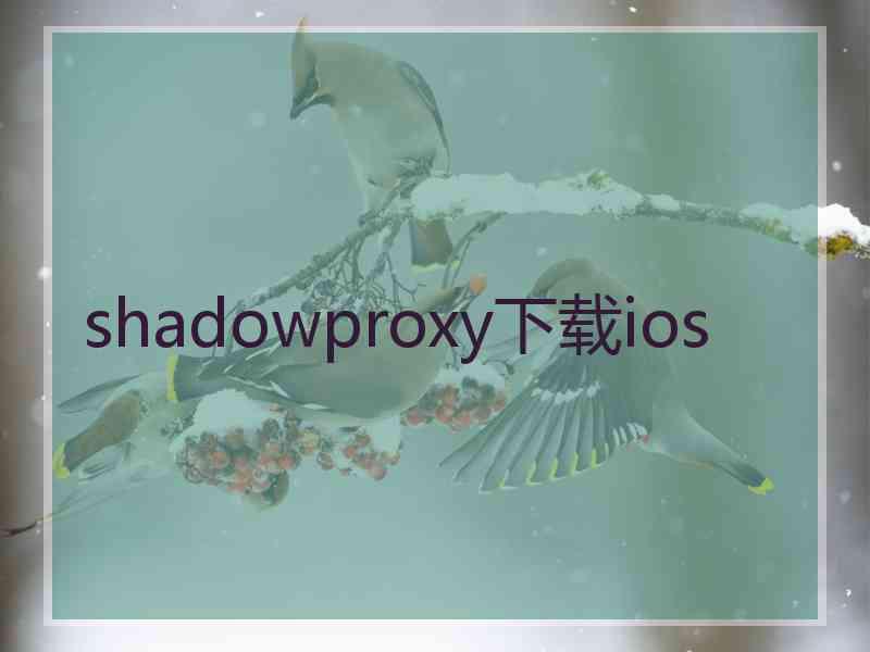shadowproxy下载ios