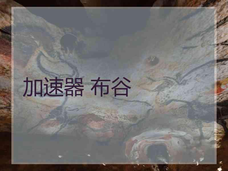 加速器 布谷