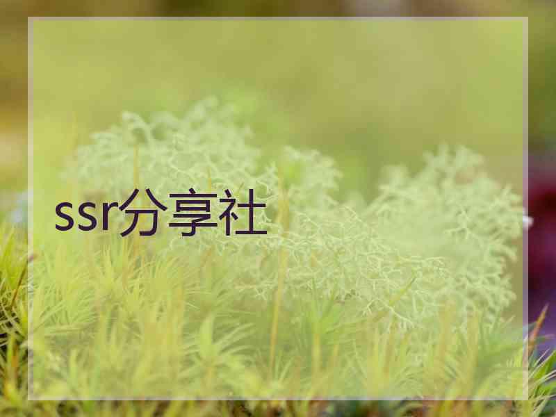 ssr分享社