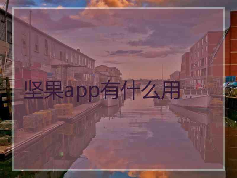 坚果app有什么用
