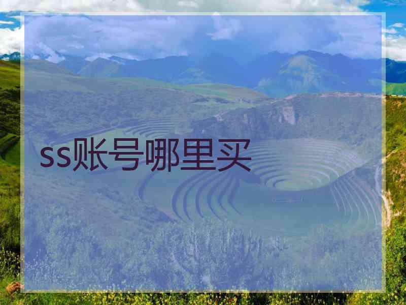 ss账号哪里买