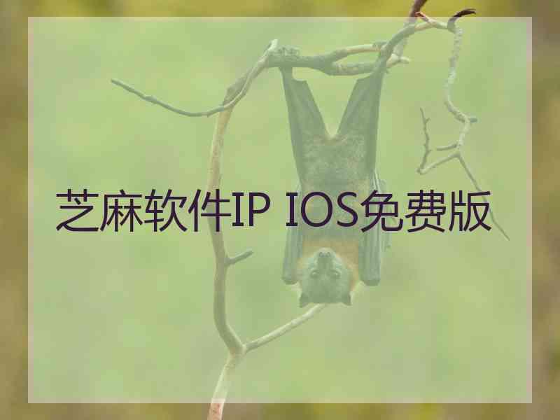 芝麻软件IP IOS免费版