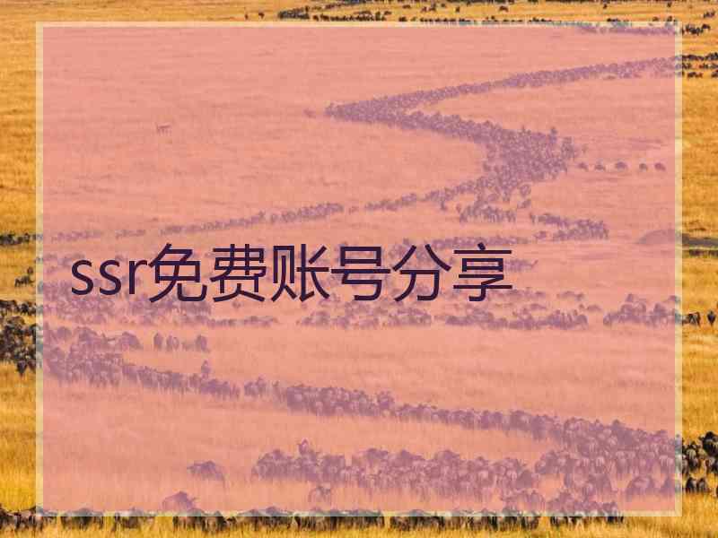 ssr免费账号分享