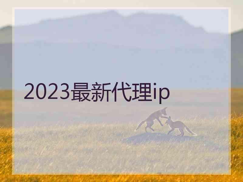 2023最新代理ip