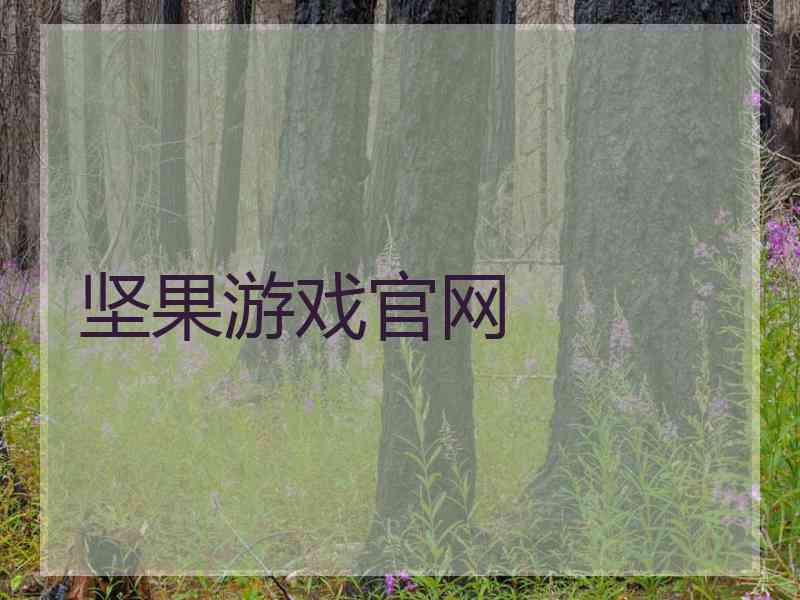 坚果游戏官网