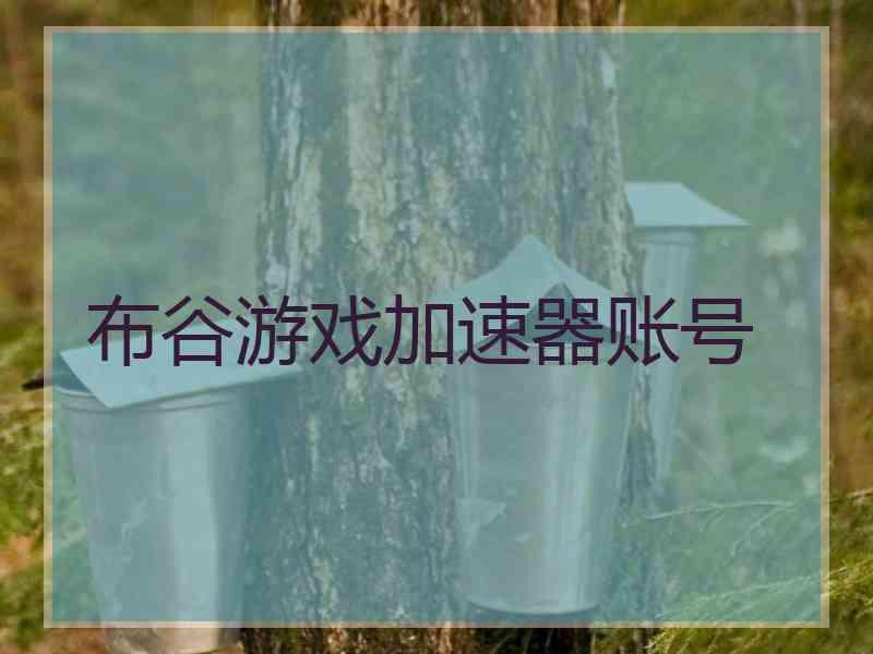 布谷游戏加速器账号