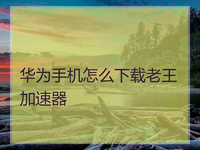华为手机怎么下载老王加速器