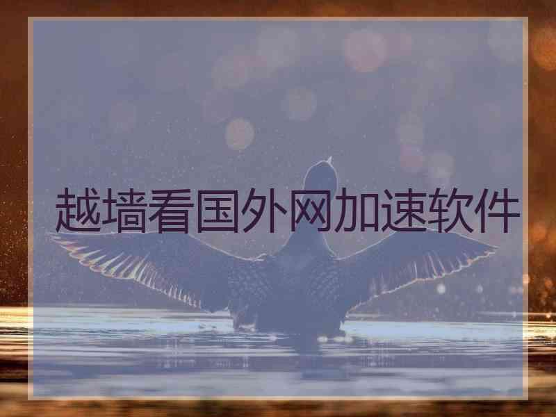 越墙看国外网加速软件